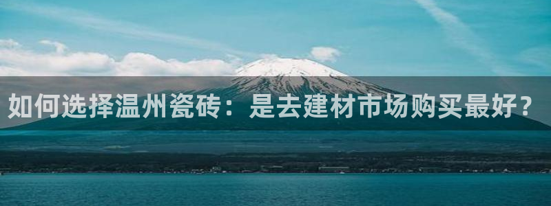 杏鑫有亏损返点吗