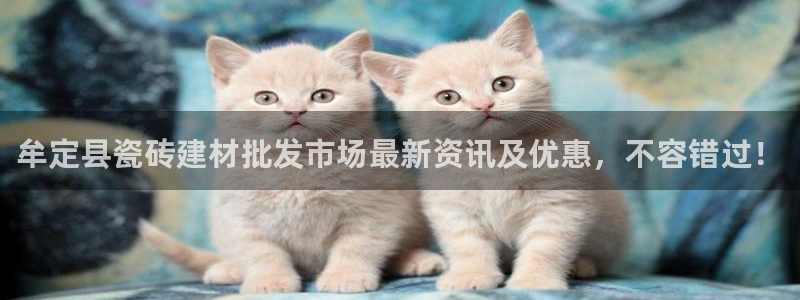 杏鑫平台代理