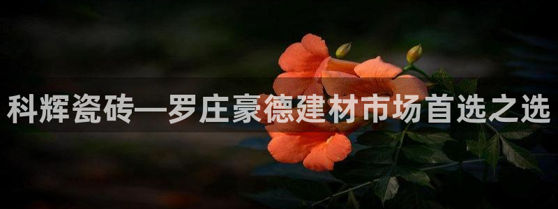杏鑫娱乐测速