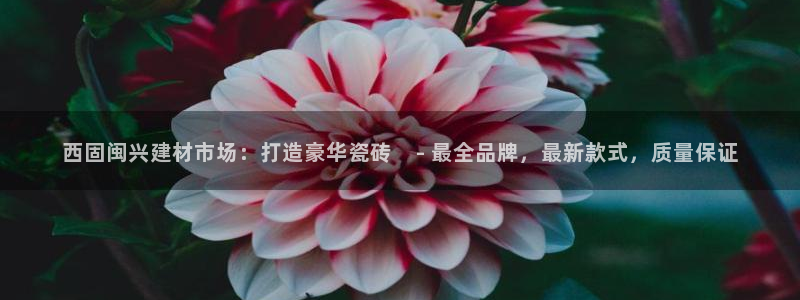 杏鑫娱乐官方网站客户端下载安装