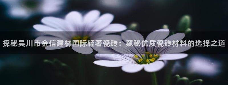 杏鑫平台招商电话