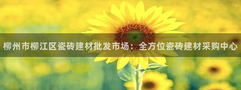 杏鑫平台代理怎么做