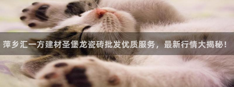 杏鑫平台怎么样黑钱吗知乎推荐