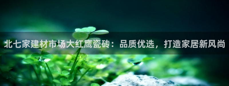杏鑫3主管