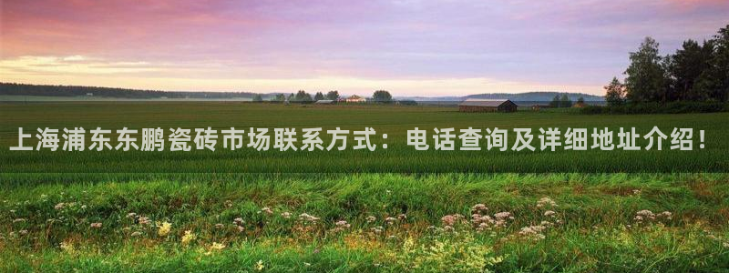 杏鑫有亏损返点吗