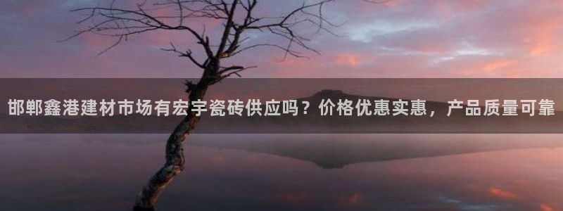 杏鑫平台代理怎么做的