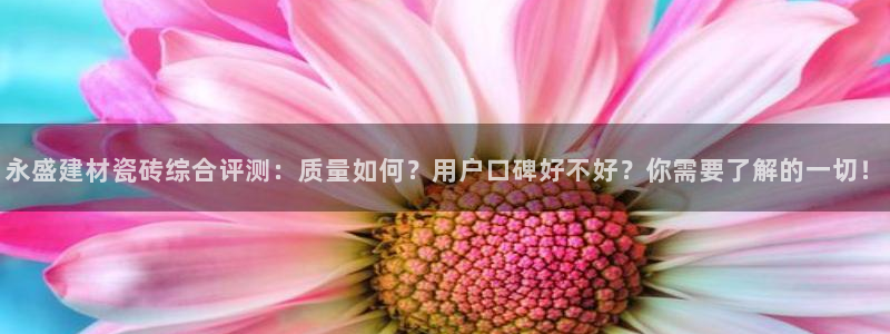 杏鑫平台注册网址是多少