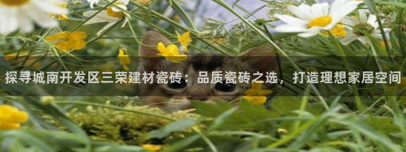 杏鑫娱乐平台登录