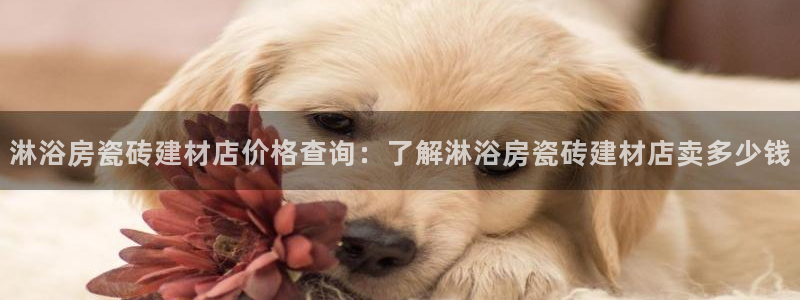 杏鑫平台登录地址在哪