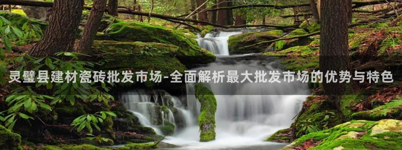 杏鑫注册登录地址