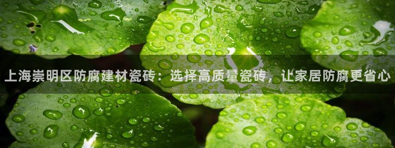 杏鑫娱乐是合法的吗?