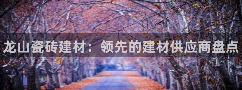杏鑫平台代理注册流程视频