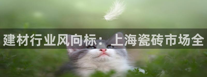 杏鑫平台在线注册