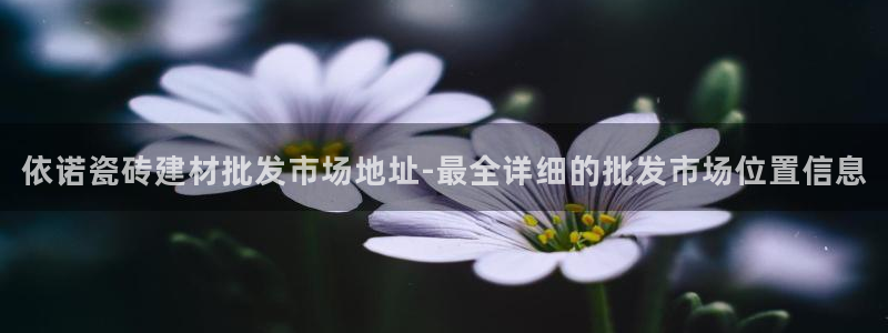 杏鑫平台野马联盟怎么样