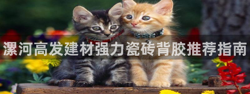 杏鑫平台是黑平台吗是真的吗