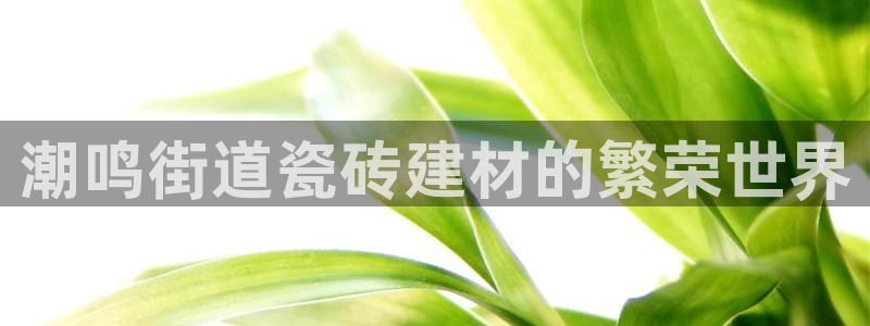 杏鑫手机客户端