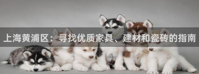 杏鑫平台官方网站