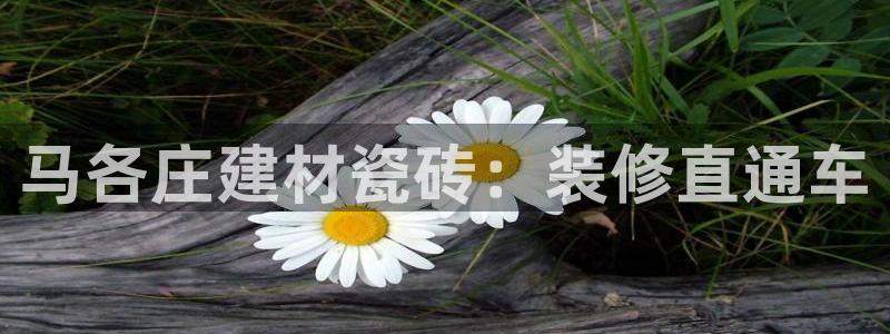 杏鑫娱乐平台测速