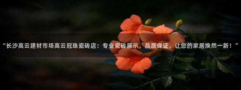 杏鑫平台野马联盟