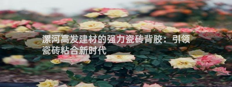 杏鑫娱乐平台测速怎么样