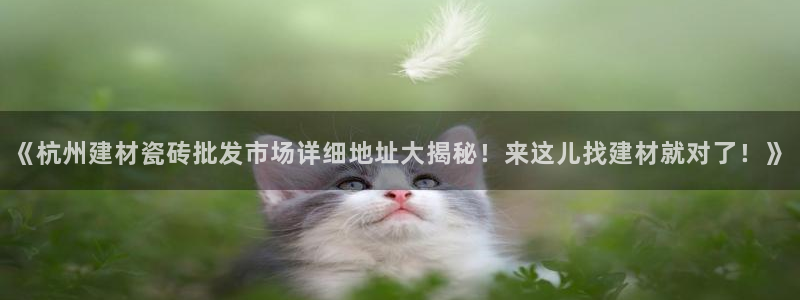 杏鑫平台念7O777