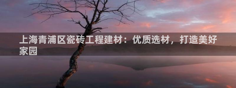 杏鑫平台平台娱乐