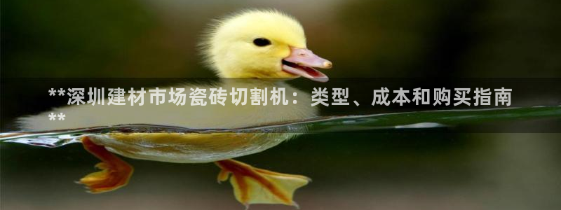 杏鑫平台代理注册流程