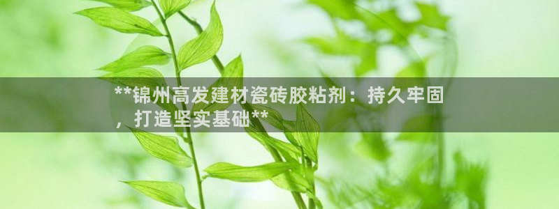杏鑫平台代理怎么做