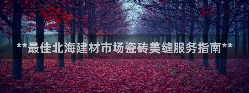 杏鑫平台招商怎么样啊