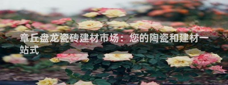 杏鑫官网