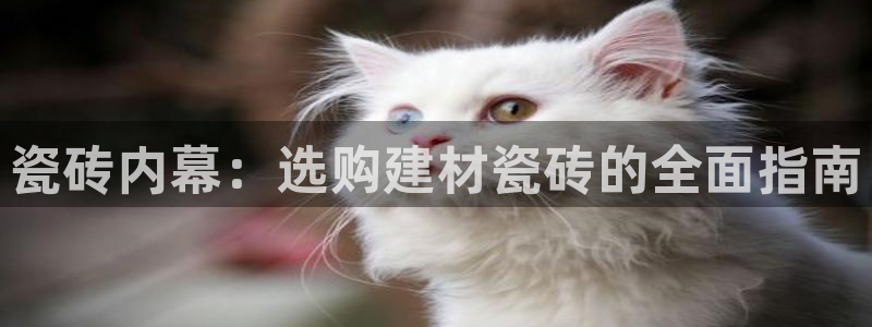 杏鑫平台平台娱乐怎么样