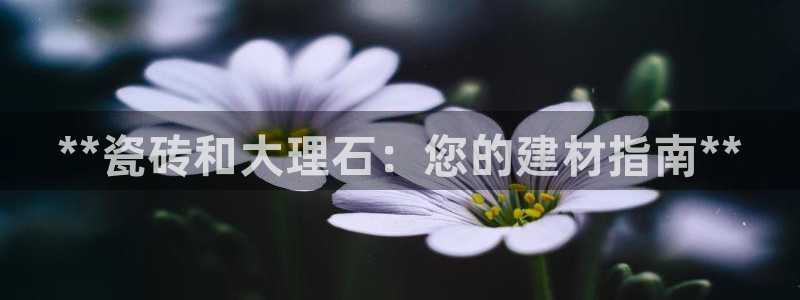杏鑫平台待遇