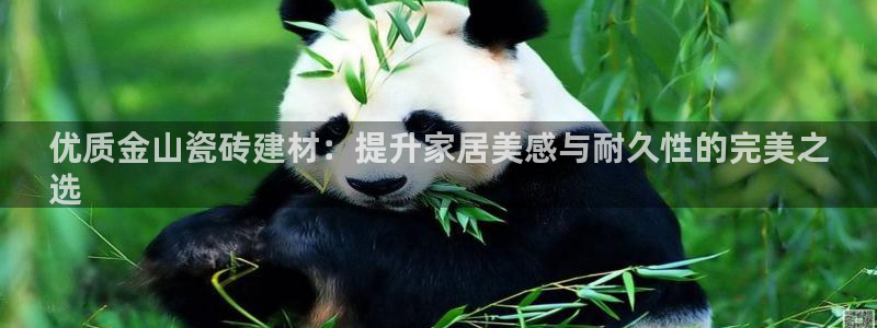 杏鑫娱乐开发团队