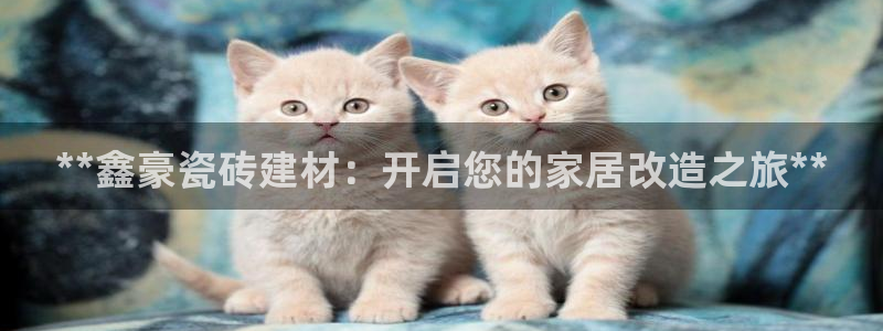 杏鑫平台是黑平台吗