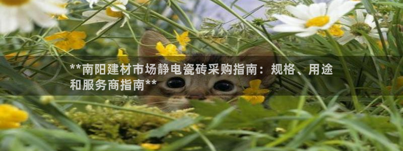 杏鑫平台念7O777