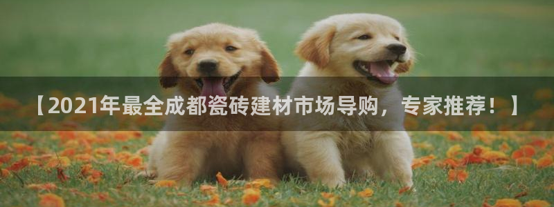杏鑫平台提供