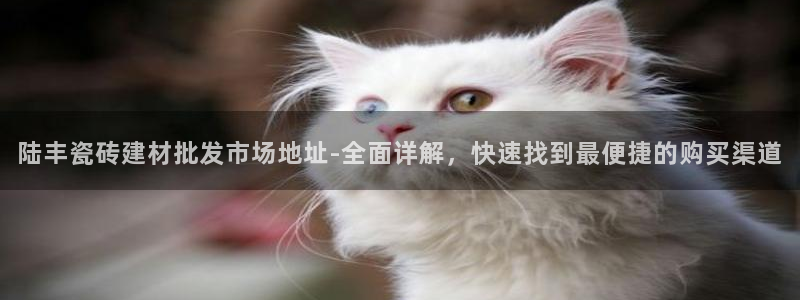 杏鑫娱乐是合法的吗是真的吗