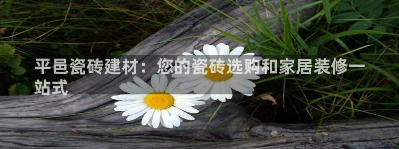 杏鑫娱乐平台