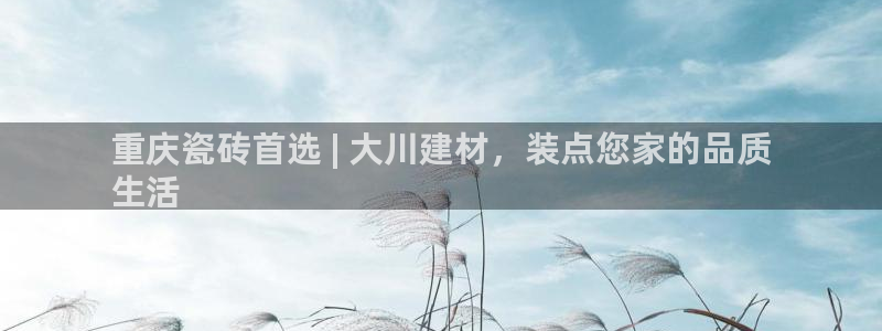 杏鑫平台是黑平台吗