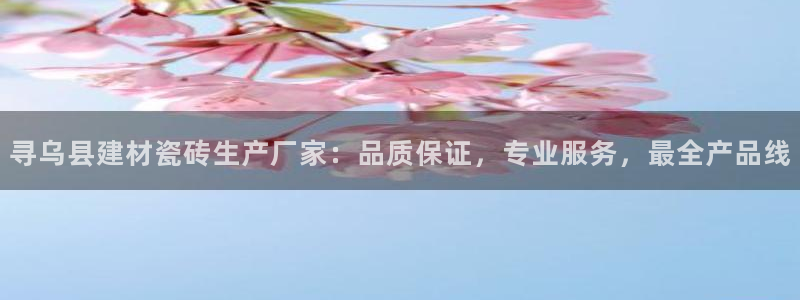 杏鑫主管