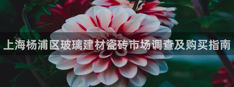 杏鑫官网最新信息新闻报道