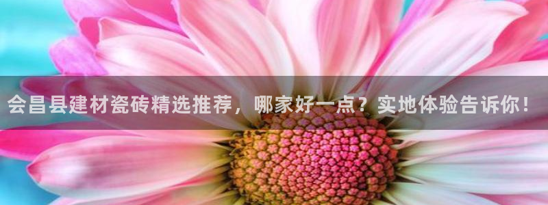 杏鑫娱乐平台测速