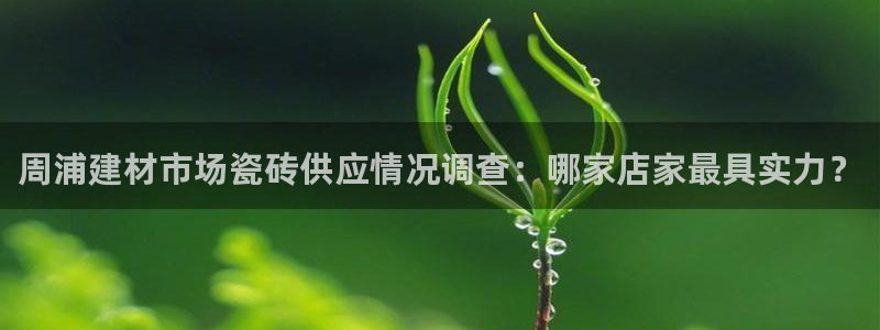 杏鑫平台代理怎么样赚钱