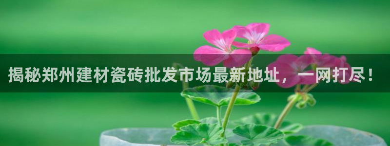 杏鑫娱乐平台测速怎么样