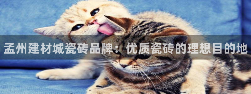 杏鑫娱乐平台测速