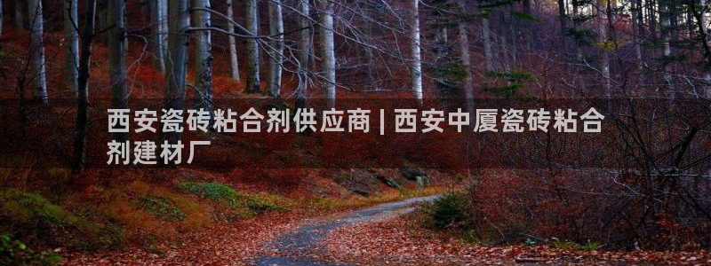 杏鑫平台代理怎么做