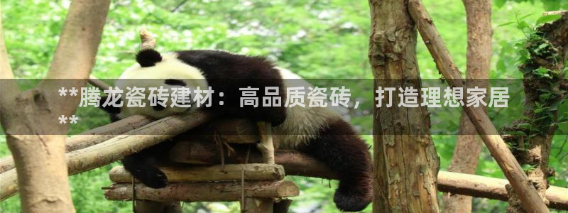 杏鑫官方平台怎么样可靠吗