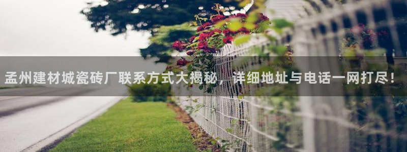 杏鑫注册登录地址