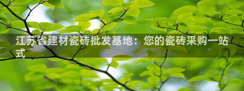 杏鑫代理注册登录