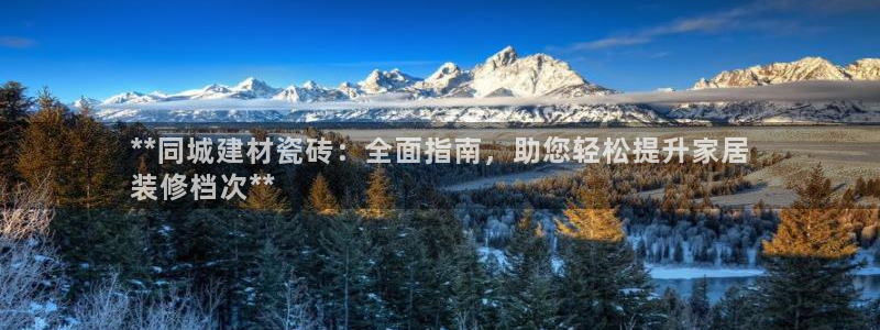 杏鑫平台登录地址查询